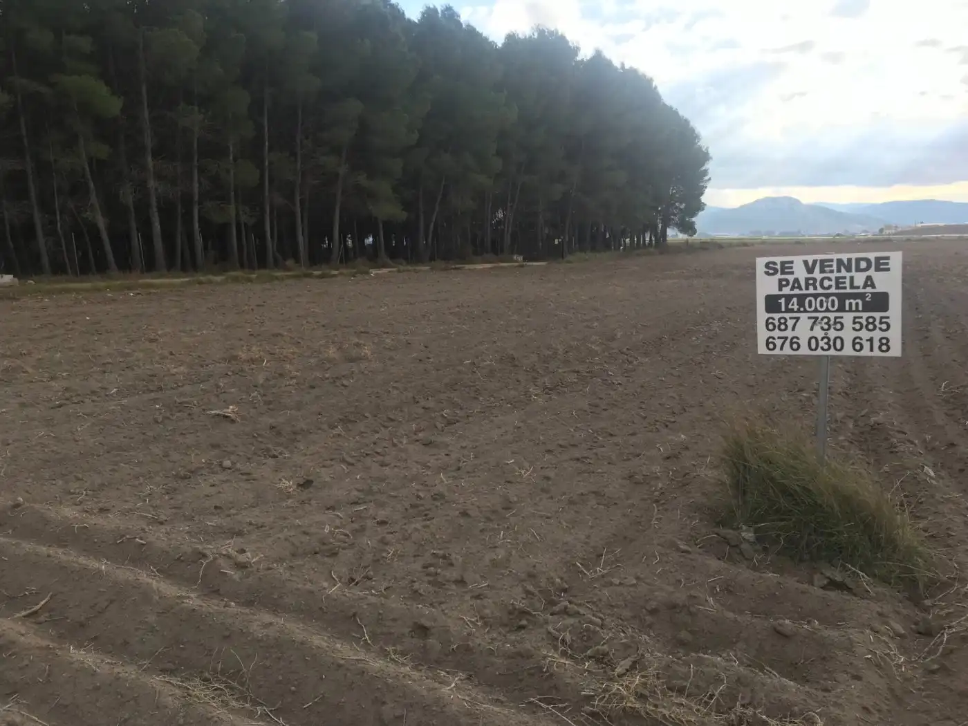 Grundstücke zum Verkauf in Villena