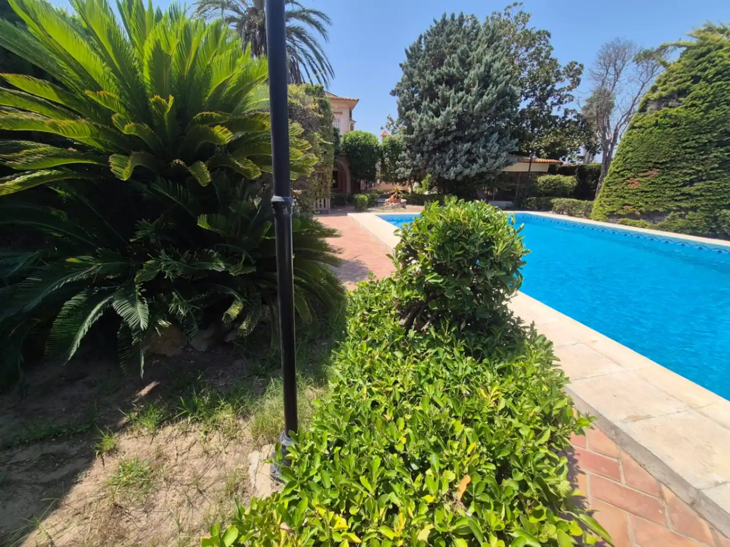 Chalet con piscina en venta en Oliva Playa, imagen 11