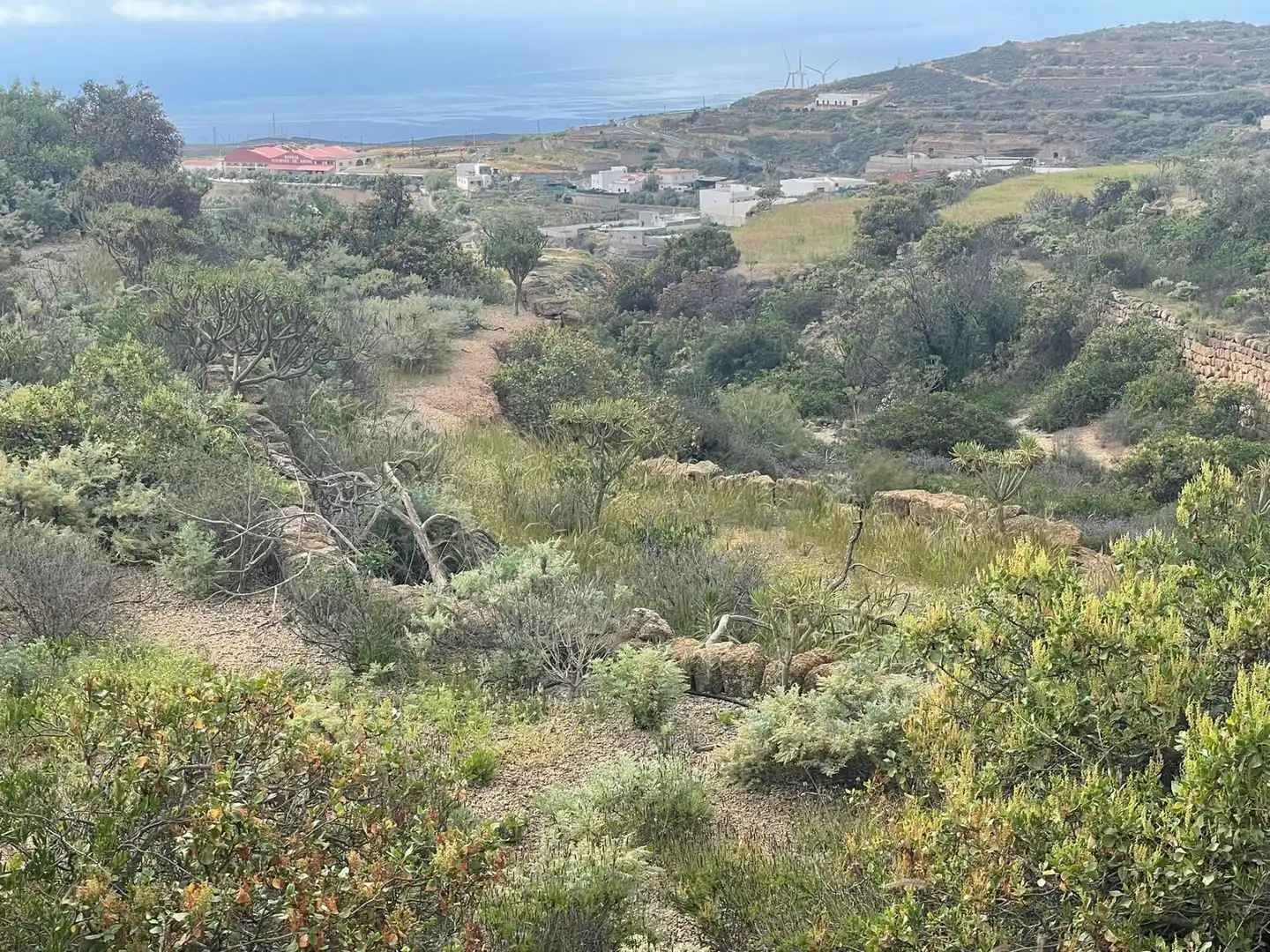 Terreno rustico in vendita a Arico, imagen 6