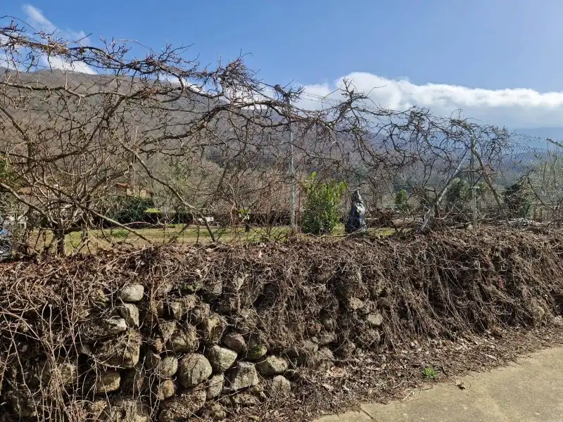 Garden of Houses for sale in Plasencia  with Heating and Storage room