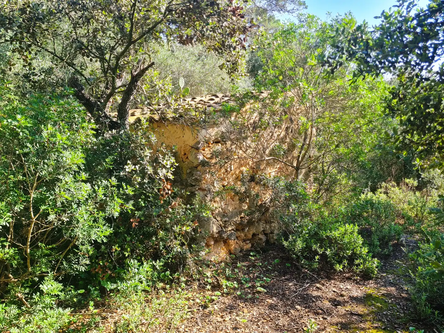 Terrain rustique à vendre à Costitx, imagen 16