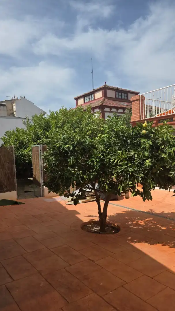 Garten von Haus oder Chalet zum Verkauf in Murcia mit Klimaanlage, Privatgarten und Terrasse