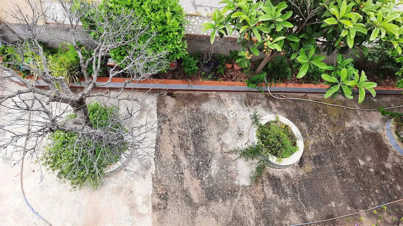 Jardí de Casa o xalet en venda en Vinaròs amb Calefacció, Jardí privat i Terrassa