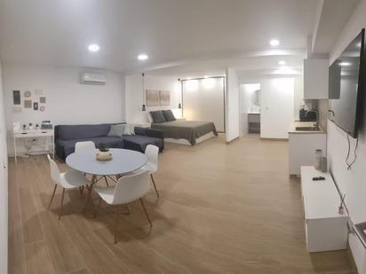 Sala d'estar de Estudi en venda en Alicante / Alacant amb Aire condicionat i Calefacció
