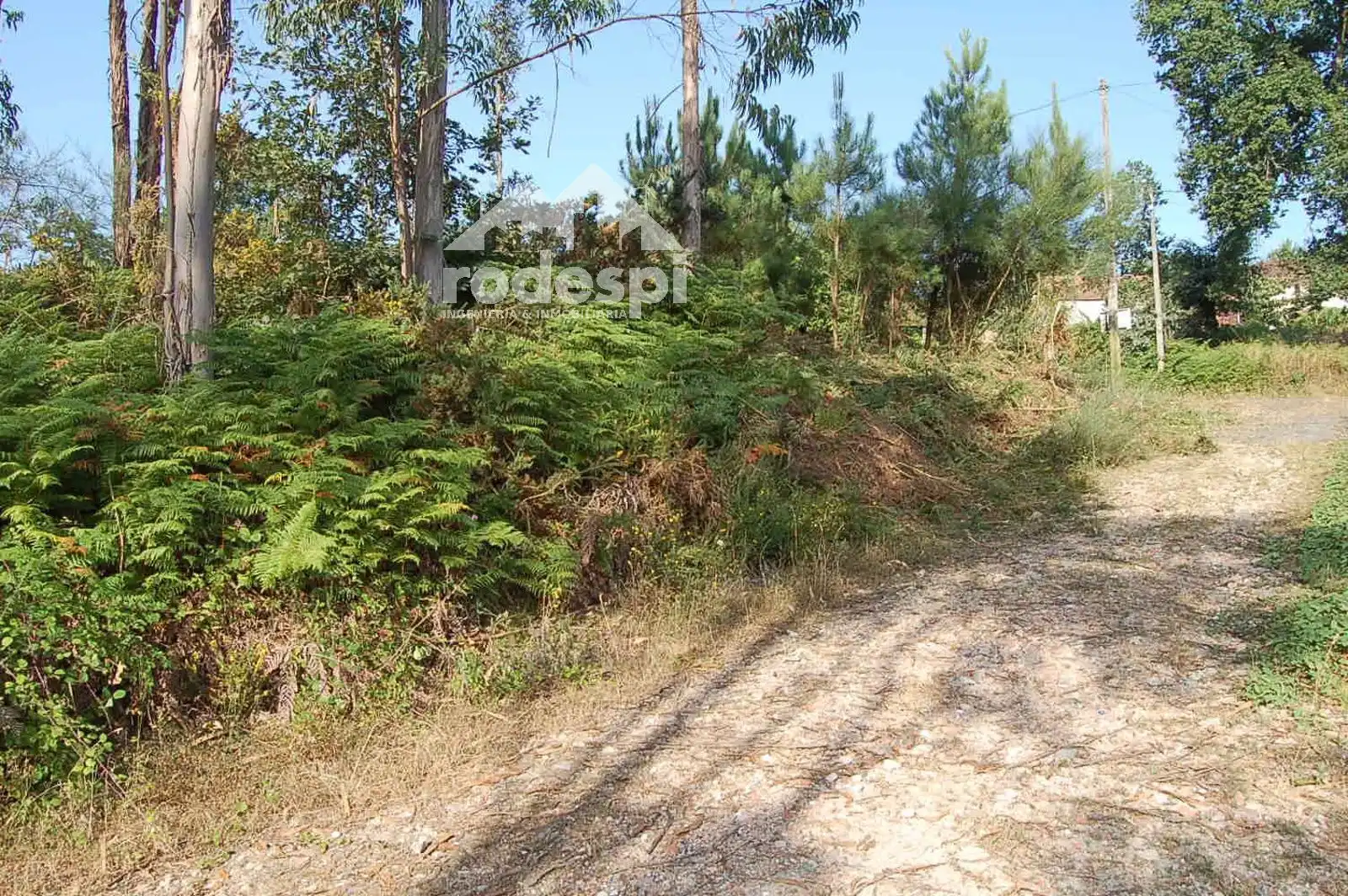 Rural land for sale in Salvaterra de Miño, imagen 7