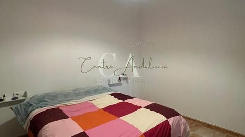 Foto 5 de Planta baixa en venda a Séneca, Puente Genil, Córdoba