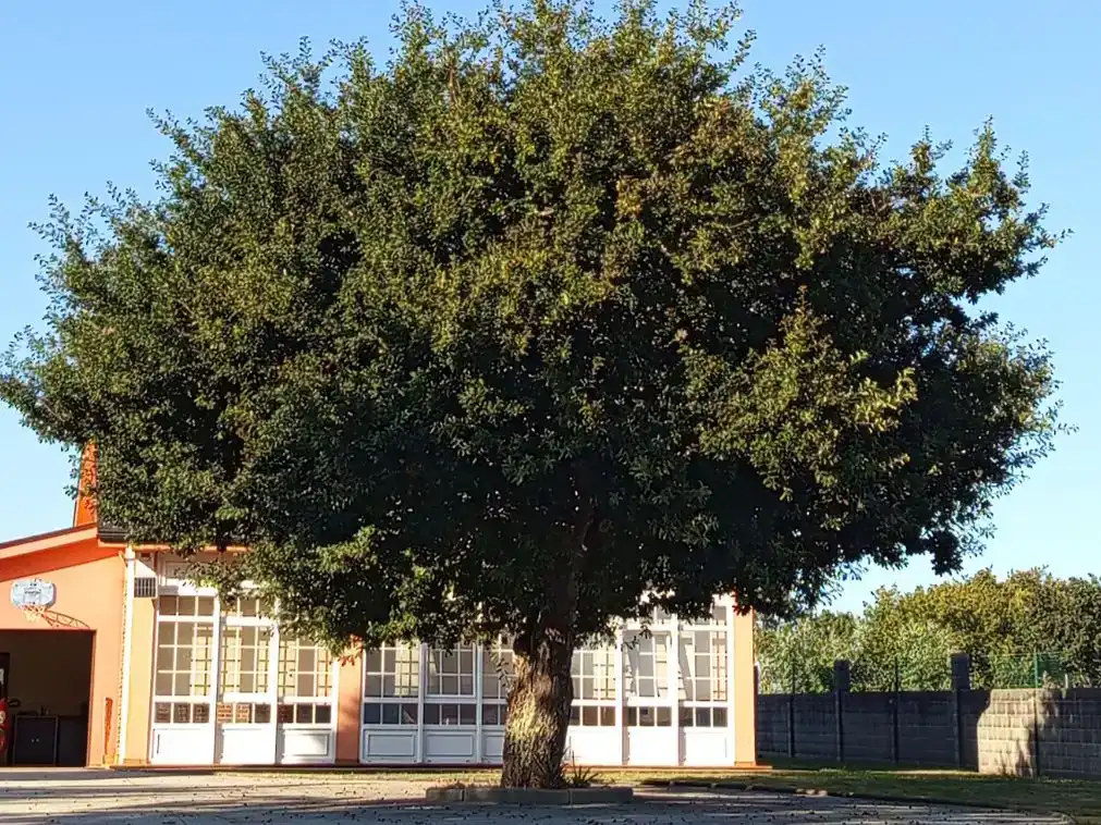 Vista exterior de Casa o xalet en venda en Culleredo amb Calefacció, Jardí privat i Terrassa