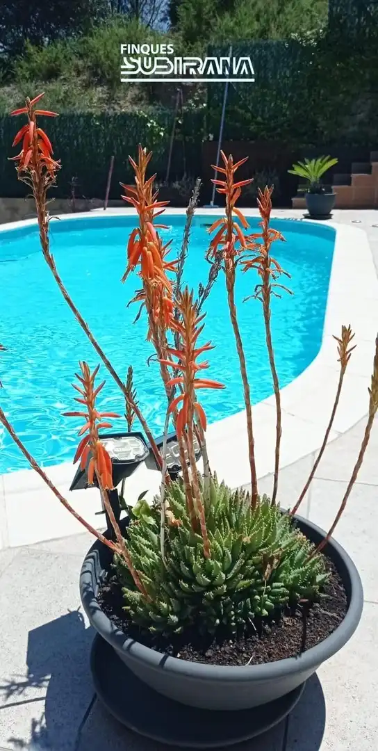 Maison avec piscine à vendre à Masquefa, imagen 9