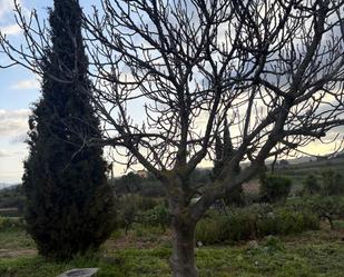 Jardí de Casa o xalet de lloguer en Font-rubí amb Jardí privat, Traster i Forn
