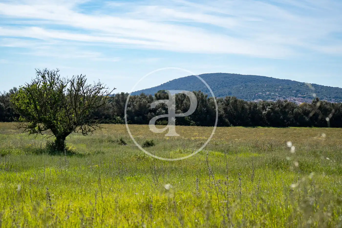 Wohnbaugrundstück zum Verkauf in Polígono 12 Parcela 246, imagen 3