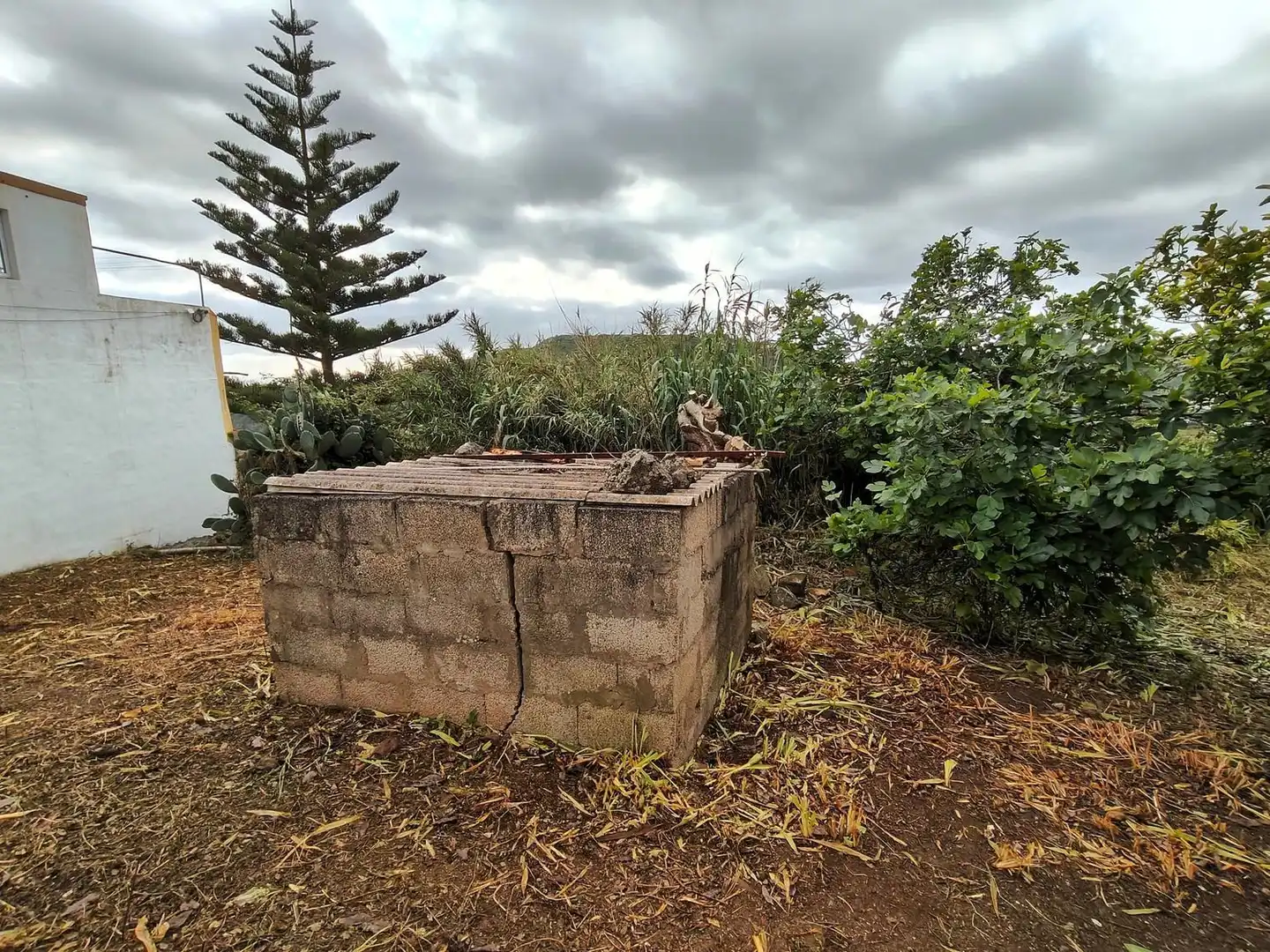 House with garden for sale in Los Peñones, imagen 27