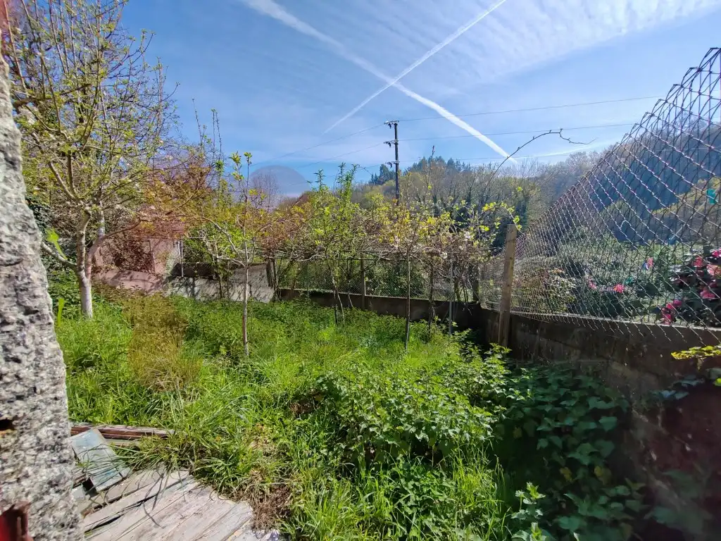Jardín de Casa o chalet en venta en Lugo