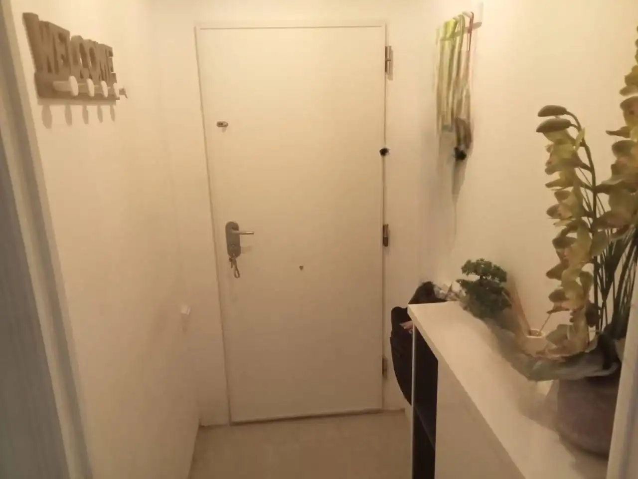 Casa o chalet en venta en Calle Assegador, Batoi