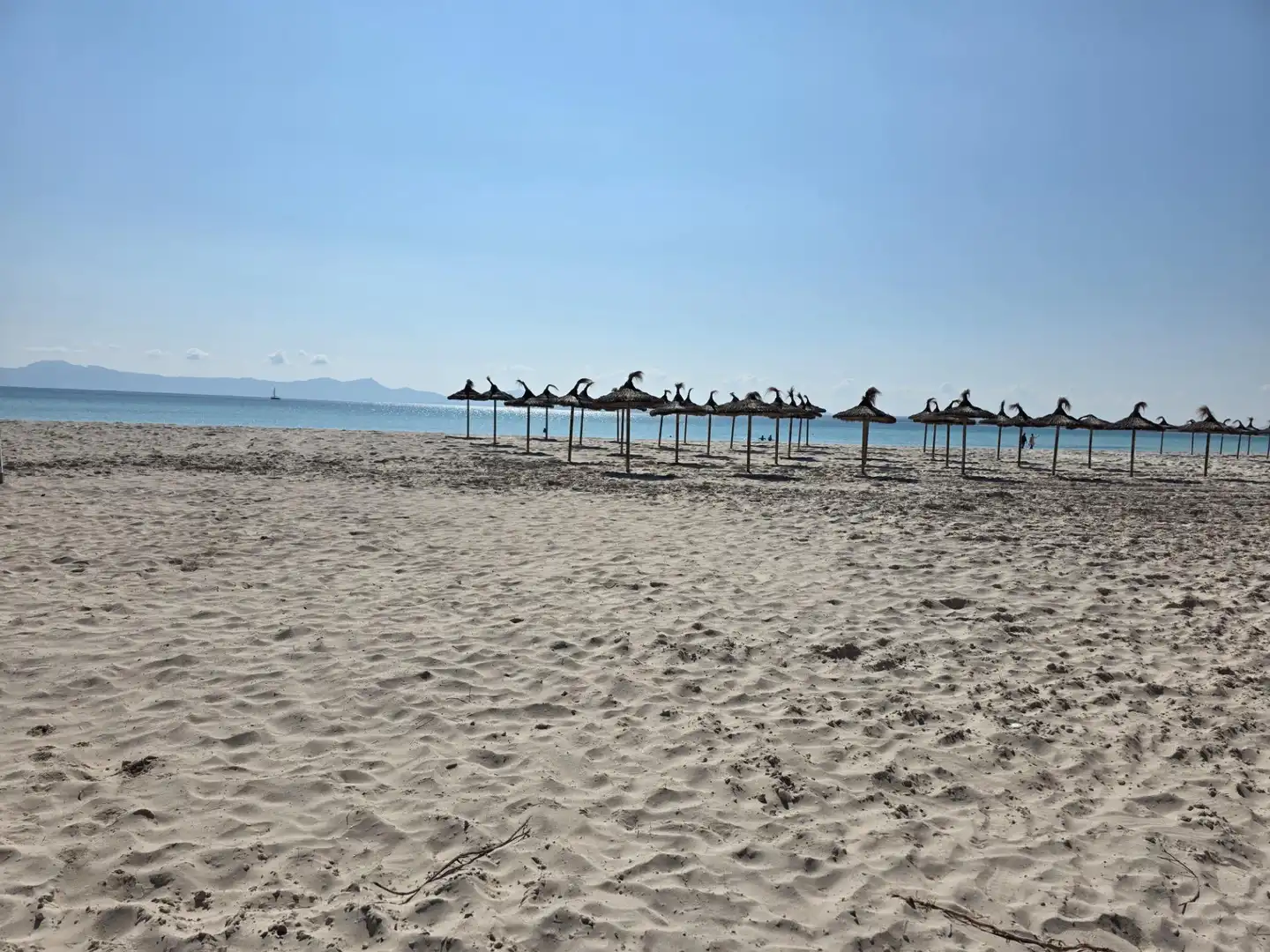 Vista exterior de Àtic en venda en Alcúdia amb Aire condicionat, Jardí privat i Terrassa