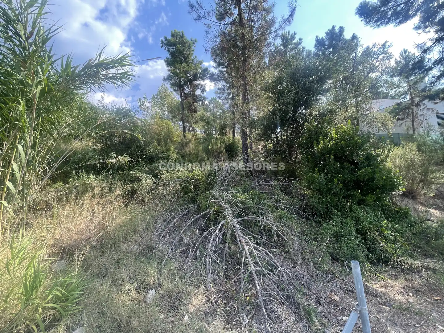 Terreno residenziale in vendita a Riudarenes, imagen 4