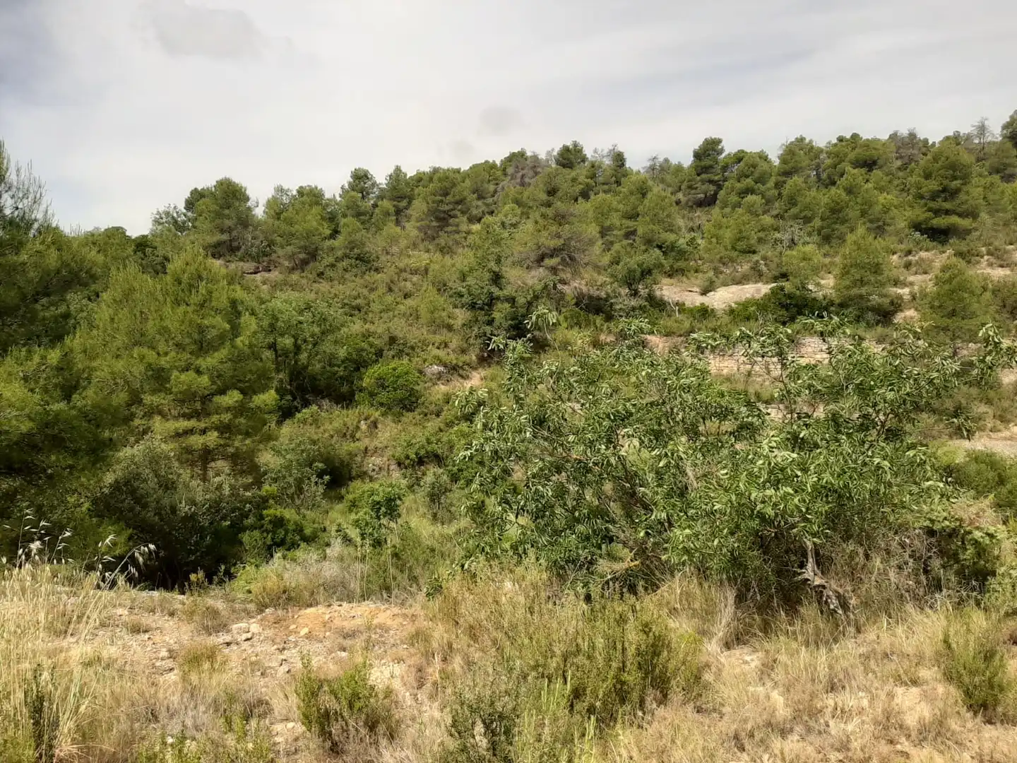 Casa adosada en venda en Cervià de Les Garrigues amb Jardí privat, Terrassa i Balcó
