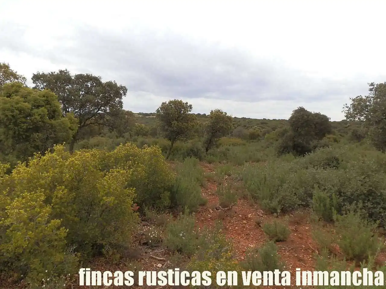 Terreno rustico in vendita a Ruidera, imagen 16