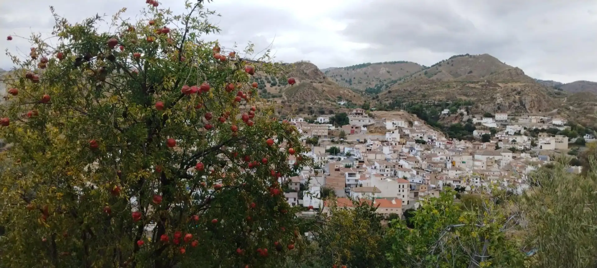Vista exterior de Apartament en venda en Quéntar