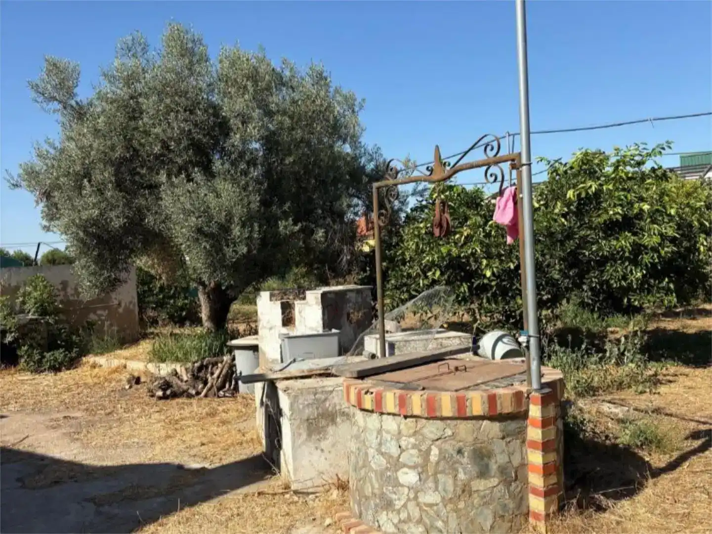 Jardín de Finca rústica en venta en La Algaba con Piscina