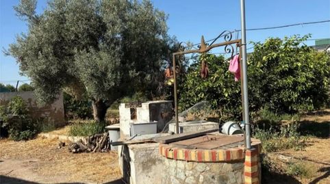 Foto 3 de Finca rústica en venta en Avenida Andalucía, 1, La Algaba, Sevilla
