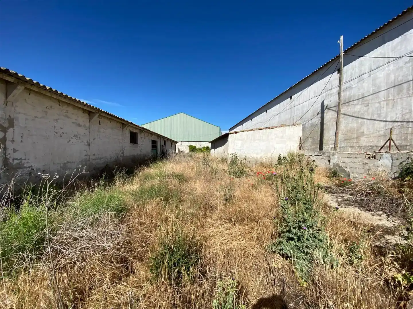 Industrial buildings for sale in Olmos de Esgueva