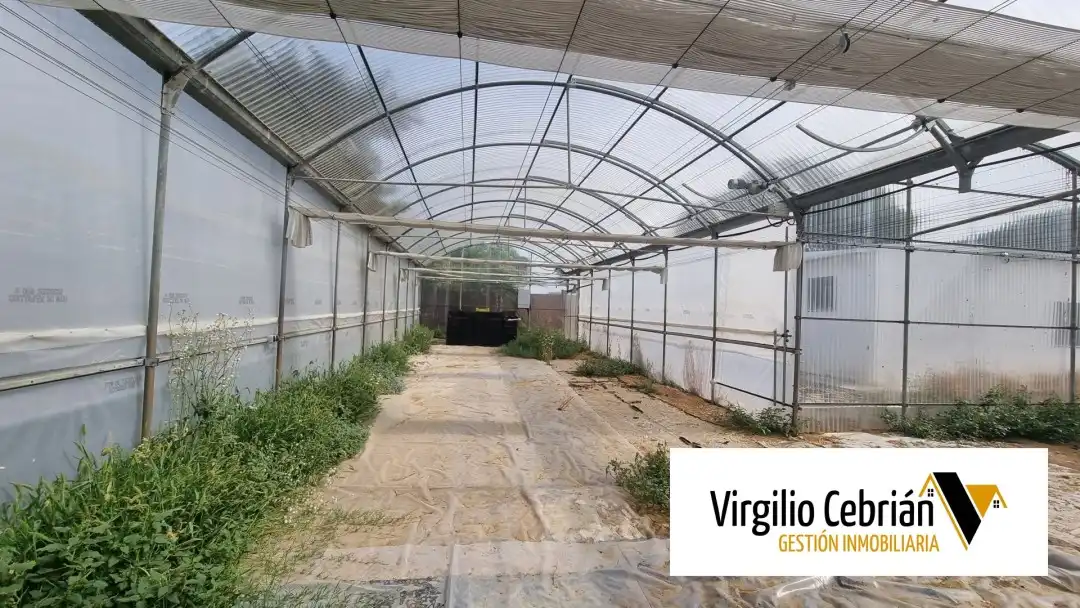 Casa rustica con giardino in vendita a Las Tres Piedras - Costa Ballena, imagen 14