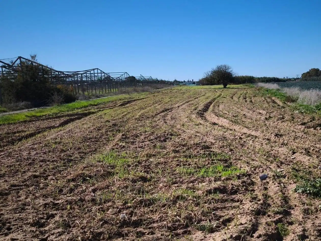 Terreno rustico in vendita a Las Tres Piedras - Costa Ballena, imagen 6
