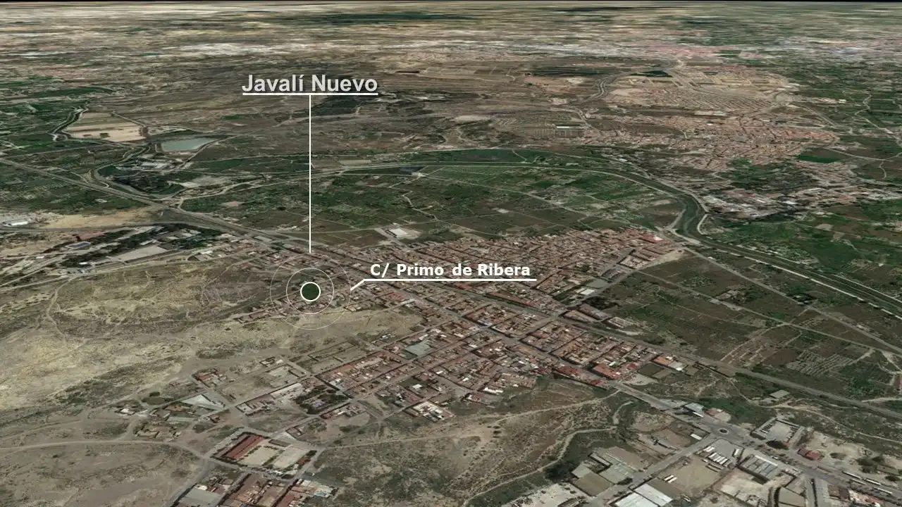 Detached homes for sale in Primo De Ribera, Javalí Nuevo