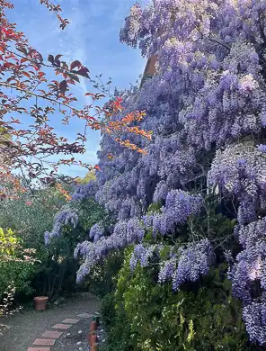 Garden of Houses for sale in Barcelona  with Heating, Private garden and Terrace
