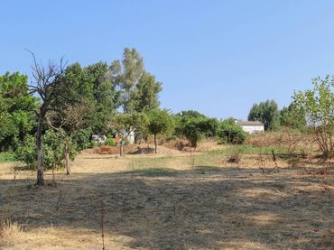 Terreno rustico in vendita a Avenida Reina Sofía