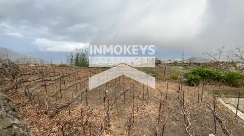 Photo 5 of House or chalet for sale in La Piñera, Palo Blanco, Santa Cruz de Tenerife