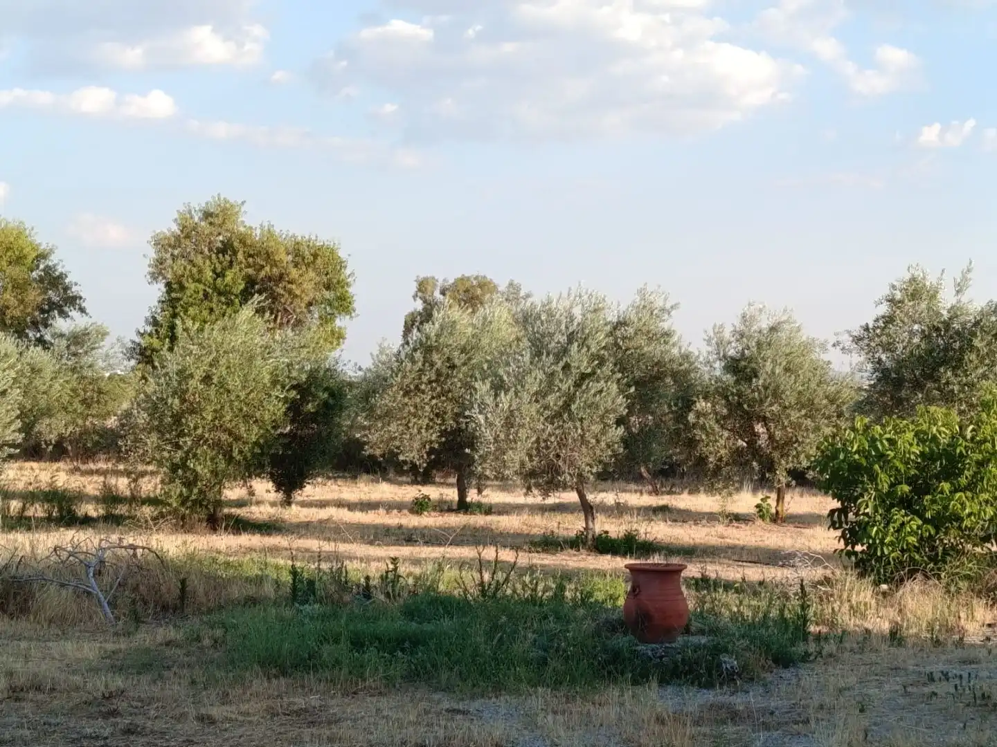 Terreno en venta en Quintana de la Serena