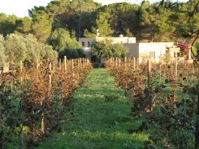 Garden of Flat for sale in Formentera  with Air Conditioner