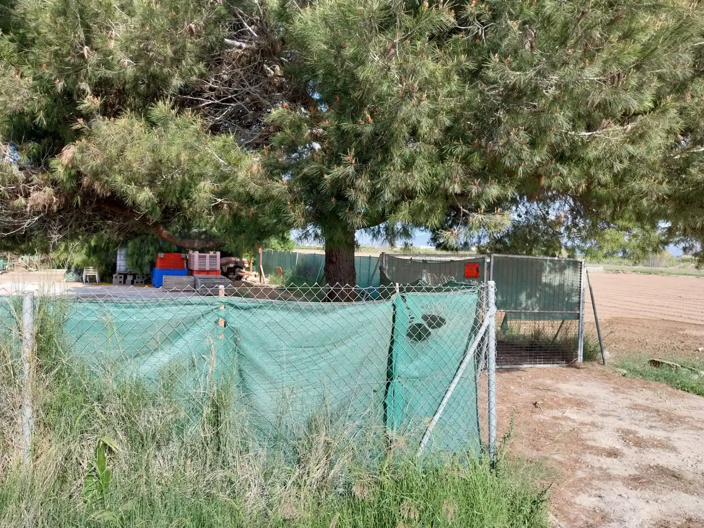 Terreno rustico in vendita a Partida la Capitana, imagen 5