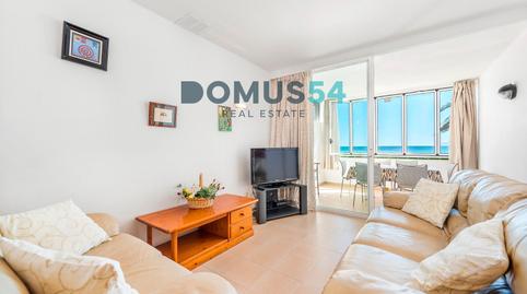 Photo 2 of Apartment to rent in Port d'Alcúdia - Platja d'Alcúdia, Alcúdia