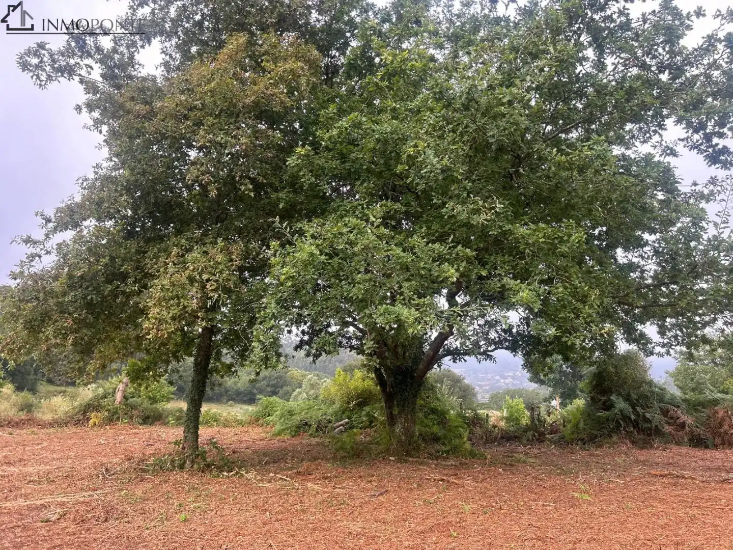 Terrenys i solars en venda a Parroquias Rurales, imagen 13