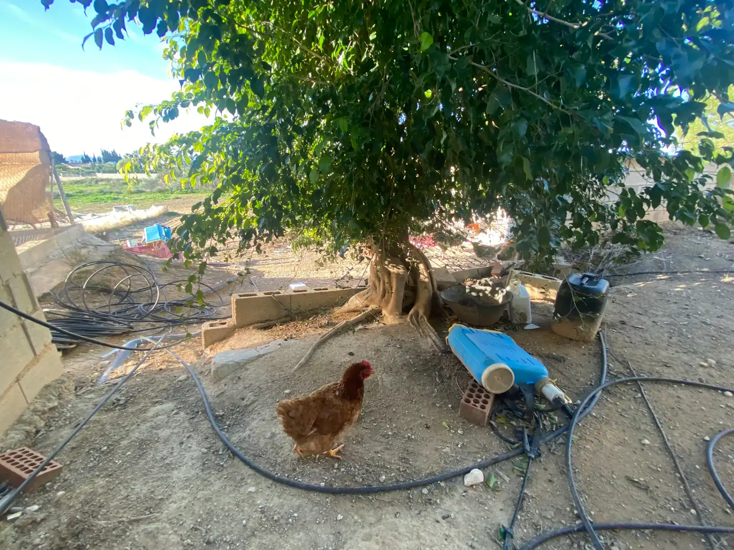 Vista exterior de Finca rústica en venda en Torre-Pacheco amb Terrassa, Piscina i Moblat