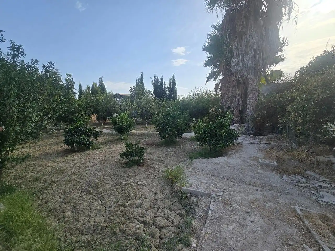 Reihenhaus mit Garten zum Verkauf in Calle de las Arboledas, imagen 51
