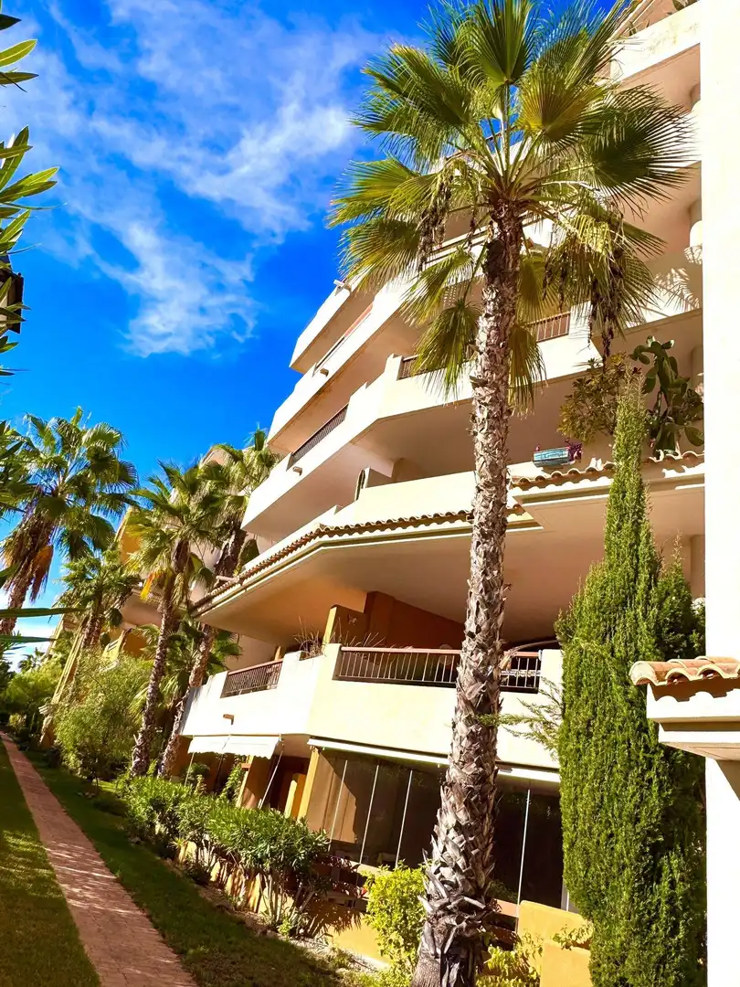 Vista exterior de Apartament en venda en Torrevieja amb Aire condicionat, Calefacció i Jardí privat