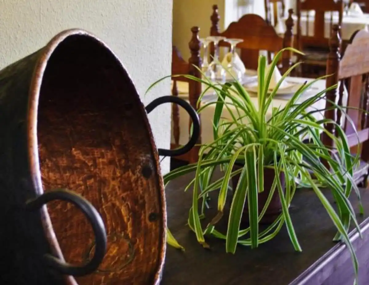 Hotel en venta en Galaroza, imagen 74