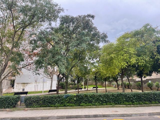 Vista exterior de Pis en venda en  Palma de Mallorca amb Traster i Balcó