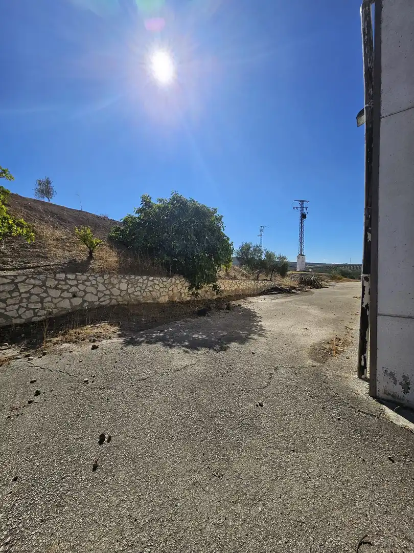 Terrain rustique à vendre à Carretera A-342 MONTURQUE-CABRA, imagen 10