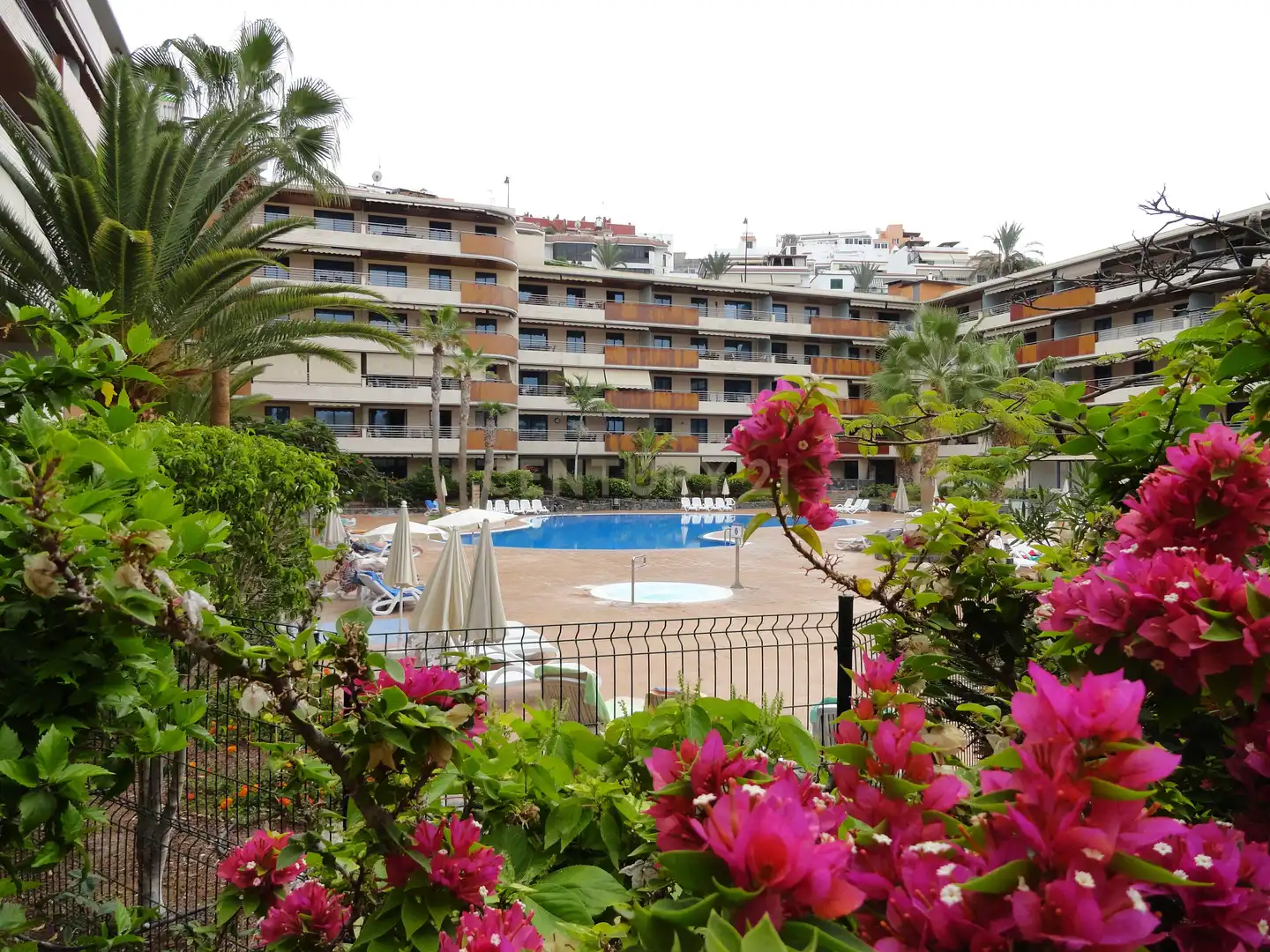 Vista exterior de Apartamento de alquiler en Santiago del Teide
