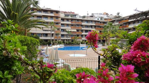 Foto 2 de Apartamento de alquiler en Calle Hondura, 22, Puerto de Santiago, Santiago del Teide