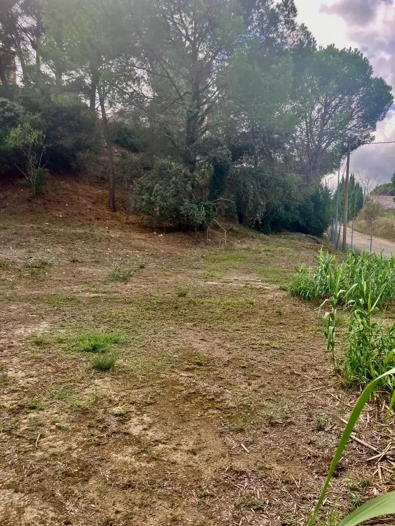 Terreny residencial en venda a Avinguda del Roser, imagen 4