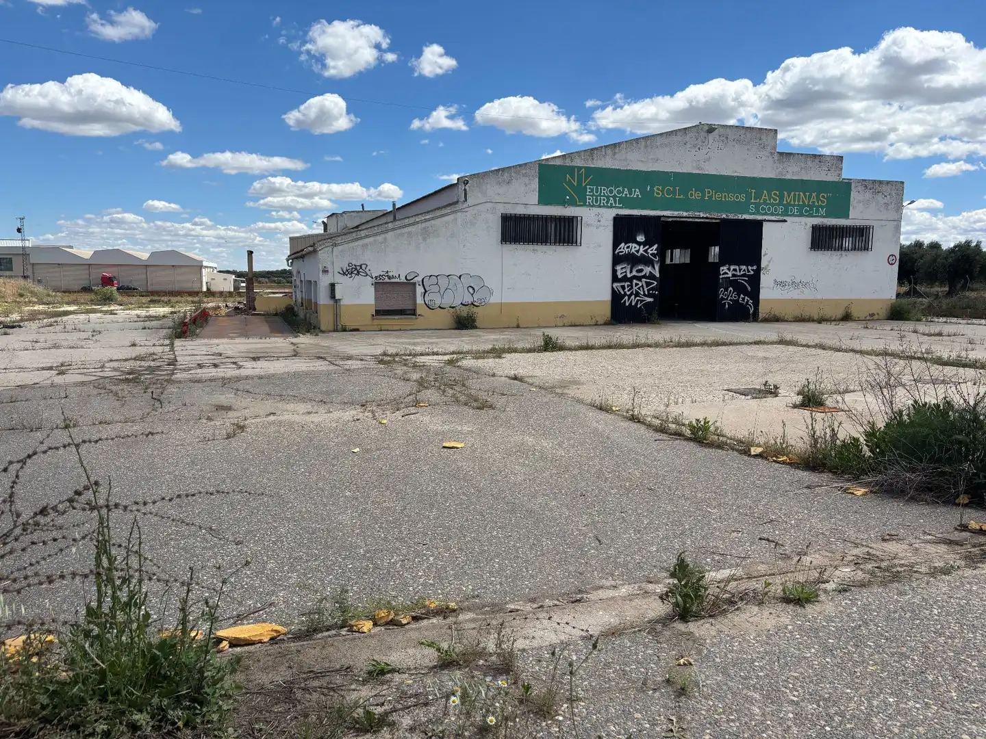 Terrenos y solares en venta en CAMINO VIEJO. GUADAMUR, imagen 4