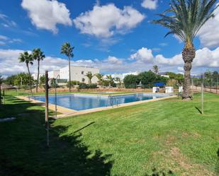 Swimming pool of Flat for sale in  Almería Capital  with Community pool