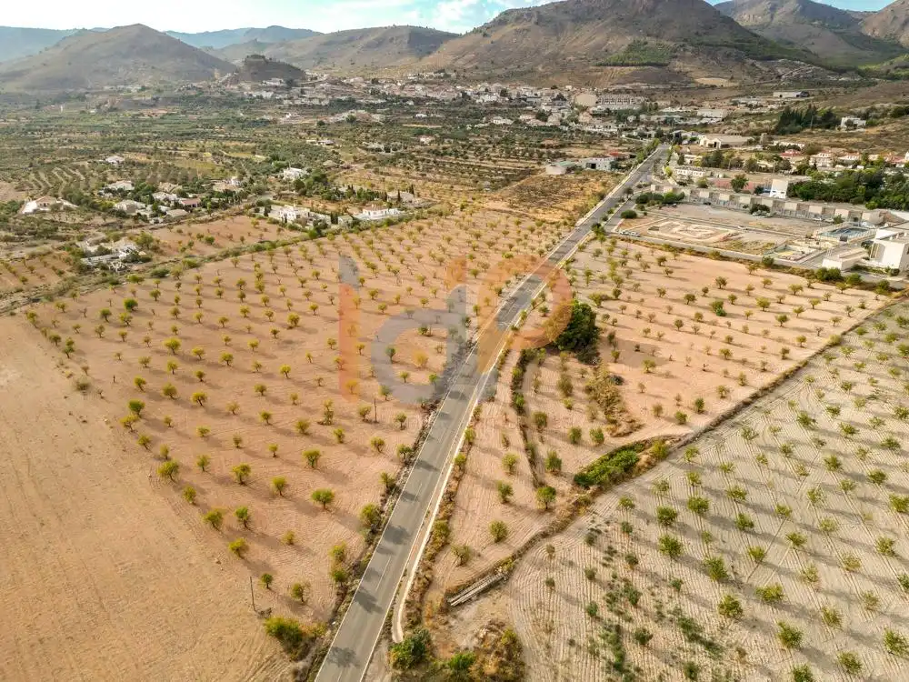 Rural land for sale in Oria, imagen 7