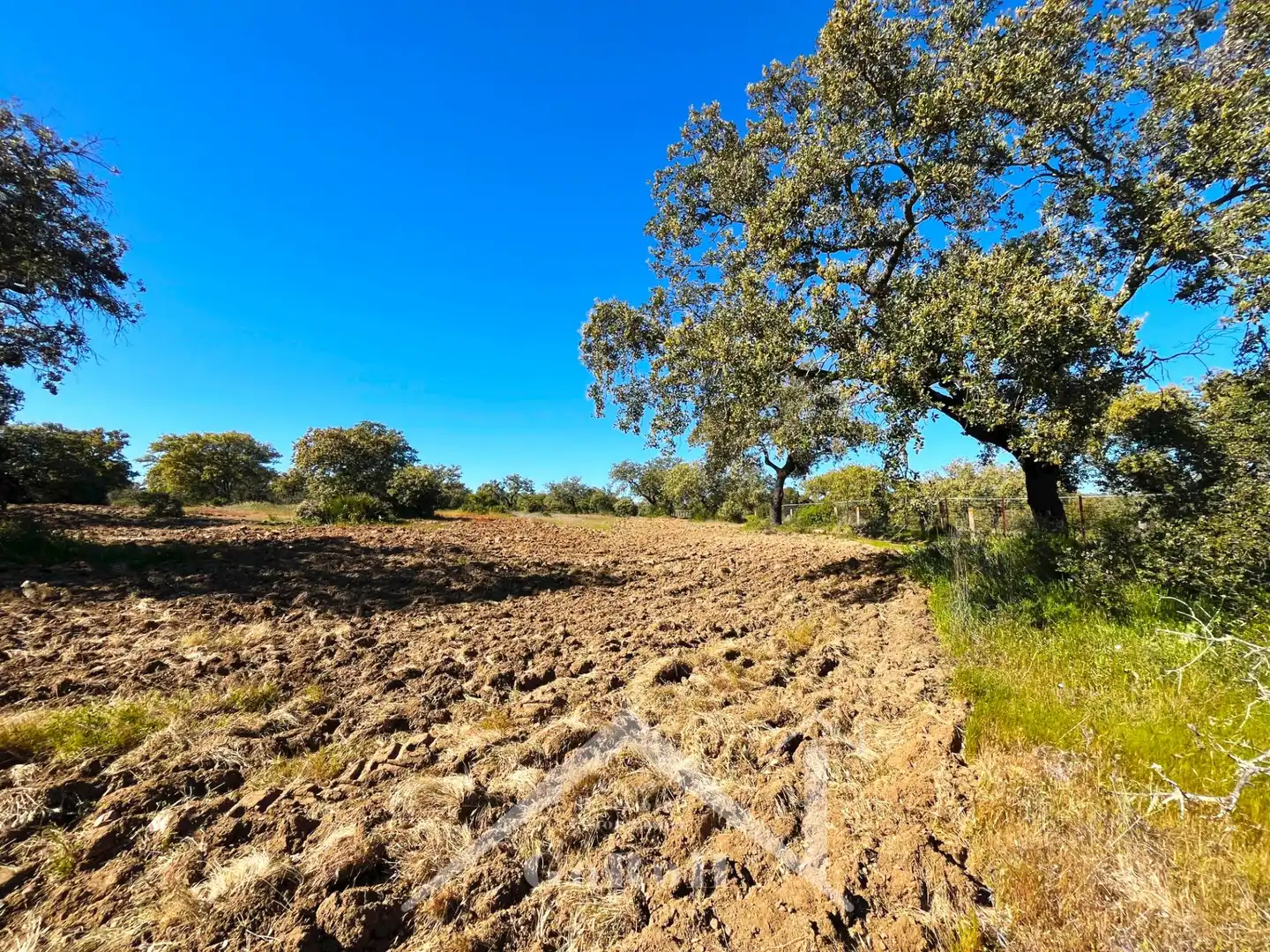 Terreni e lotti in vendita a Castilblanco de los Arroyos, imagen 7