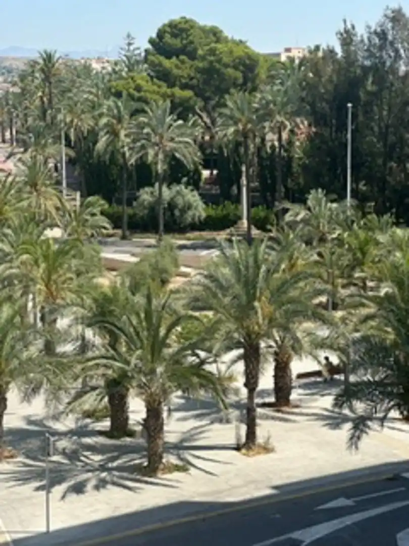 Exterior view of Flat for sale in Elche / Elx  with Heating and Balcony